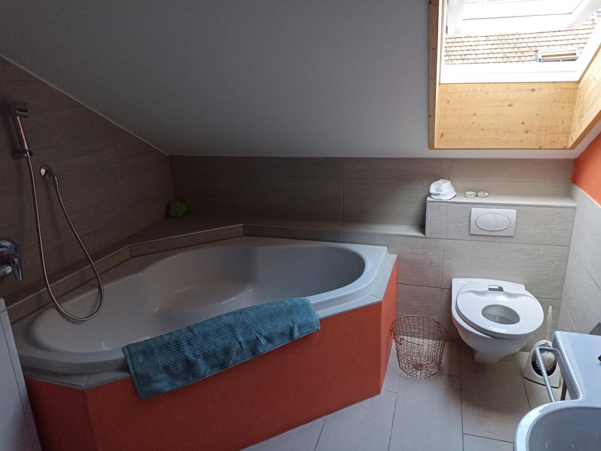 Apartmán Meiringen Holiday *